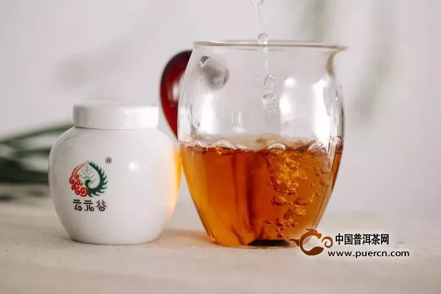 云元谷：茶中黃金-茶膏