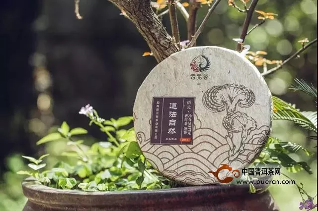 云元谷丨熟茶枣香的形成