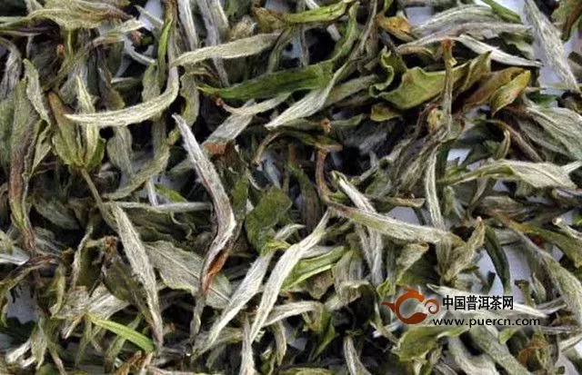 白牡丹茶的功效是什么