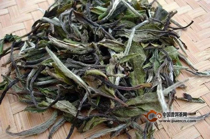 白牡丹茶有减肥功效吗