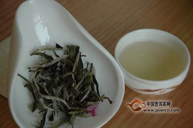 白牡丹茶怎么沖泡好喝