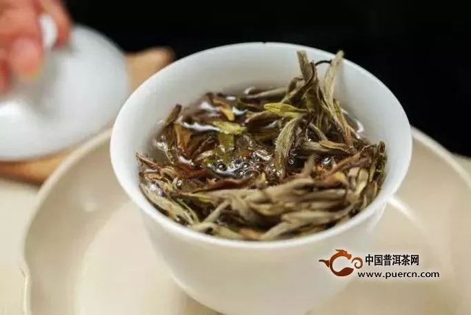 白牡丹茶怎么沖泡好喝