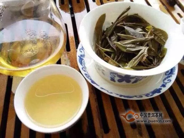 白牡丹茶怎么沖泡好喝