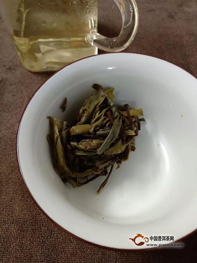 妖茶，飄忽不定的茂蘭！2018年小眾普洱茂蘭龍珠試用評測