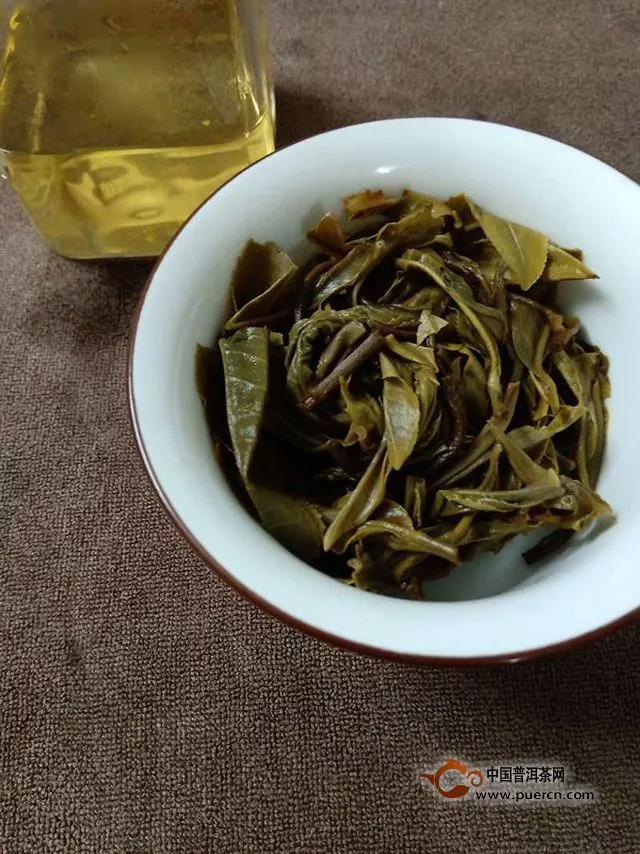 妖茶，飄忽不定的茂蘭！2018年小眾普洱茂蘭龍珠試用評測