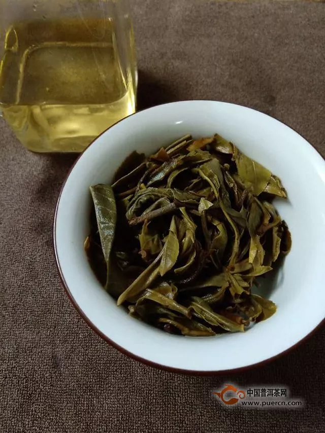 妖茶，飄忽不定的茂蘭！2018年小眾普洱茂蘭龍珠試用評測