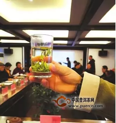 2019年贵州最早春茶上市，刷新春茶上市纪录