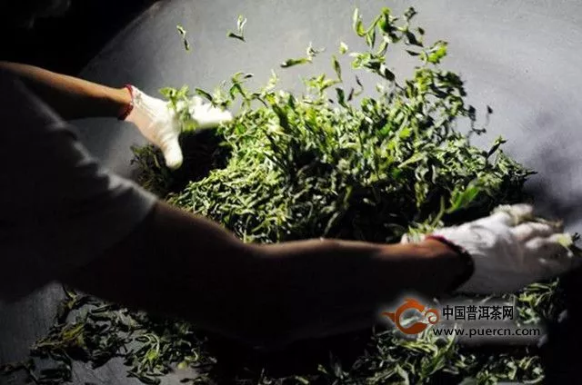 2019年普洱春茶毛料价格