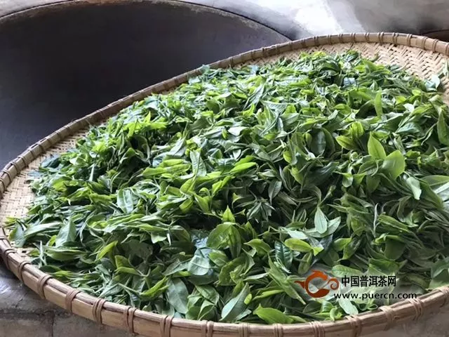 福元昌2019年春茶预售即将开幕....