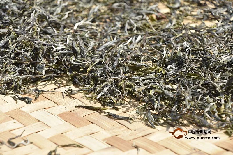 什么是云南的普洱春茶