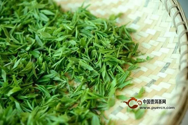 明前茶好還是雨前茶好