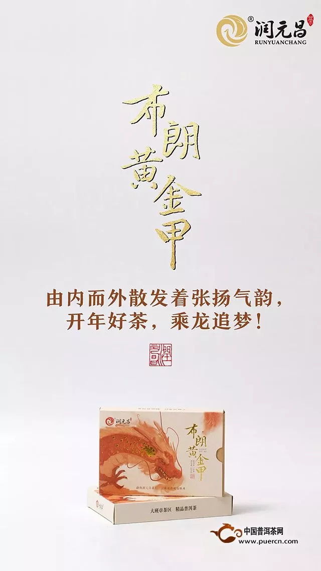 黄金品质，刚柔并济。开年好茶——润元昌布朗黄金甲正式登场！