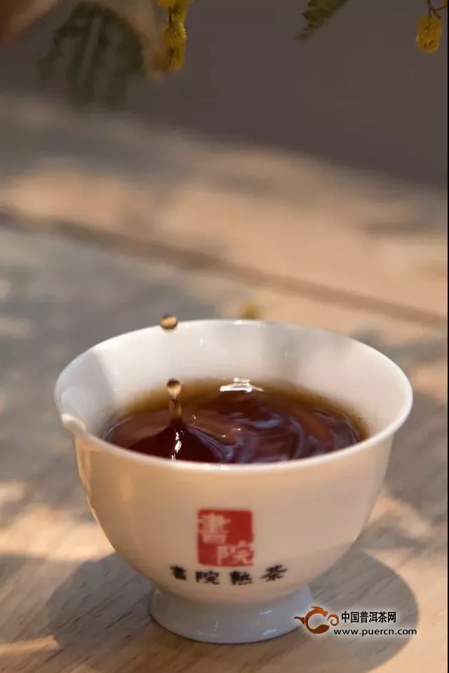 【邦东佼者：那罕上寨】千堆古树熟茶发酵计划第十九期