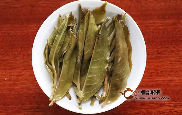 忙肺山古樹茶怎么樣