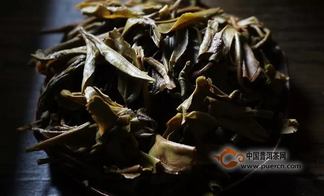 老曼峨普洱茶特點