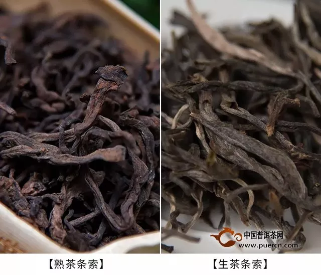 【章朗：纯正勐海味】千堆古树熟茶发酵计划第二十期