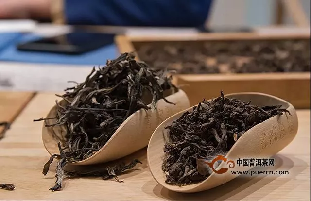 【章朗：纯正勐海味】千堆古树熟茶发酵计划第二十期