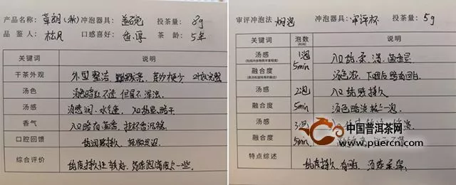 【章朗：纯正勐海味】千堆古树熟茶发酵计划第二十期