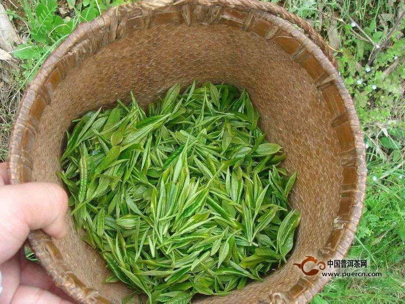 谷雨茶多少钱一斤