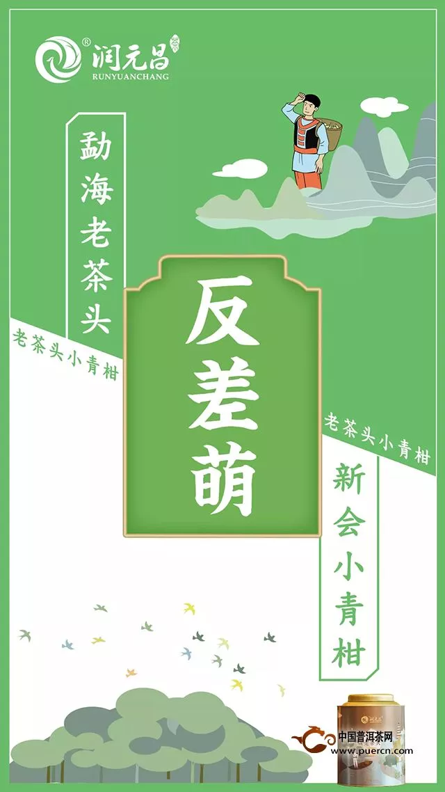 新品上市｜潤(rùn)元昌老茶頭小青柑，反差萌的形態(tài)，雙重甜的暴擊