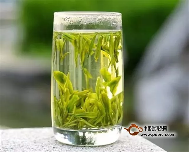 绿茶一天喝多少毫升？什么时候喝？