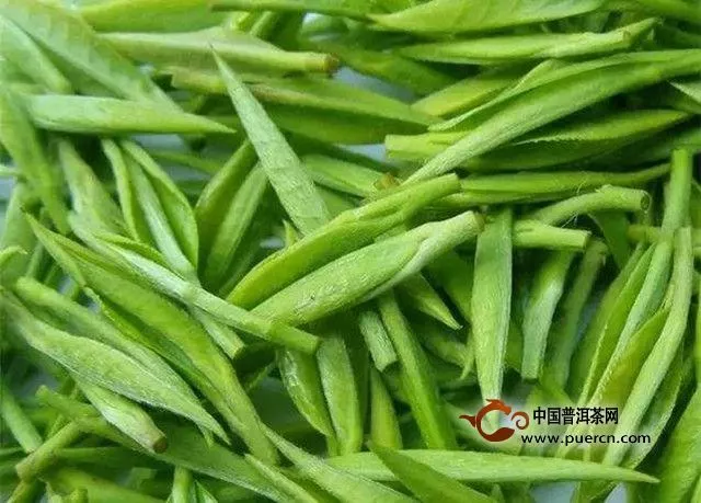 安吉白茶好喝嗎？喝安吉白茶的好處