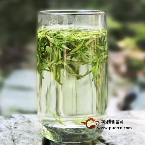 黄山毛峰属于什么茶?属于绿茶吗?