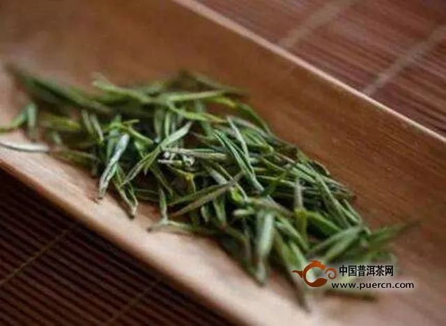 安吉白茶怎么樣，是好茶嗎？