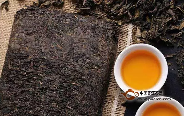 黑茶有小虫能喝吗？黑茶茶虫