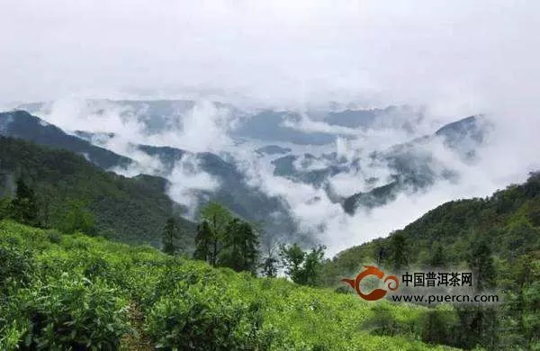 黃山毛峰產(chǎn)地哪里