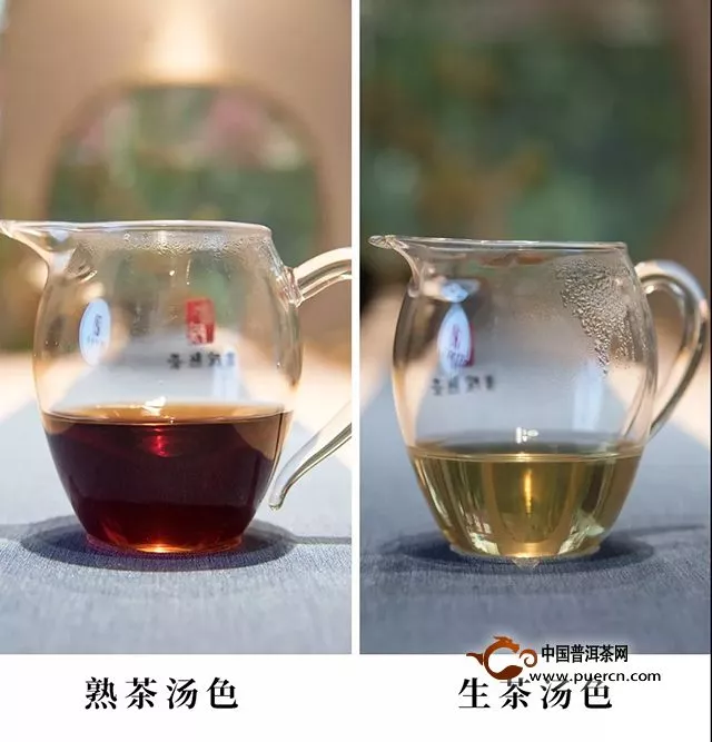 【茶中致和者：勐宋曼吕】书院熟茶千堆古树熟茶发酵计划第二十一期