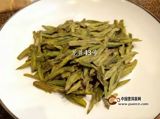 龍井43和群體種口感哪個(gè)好