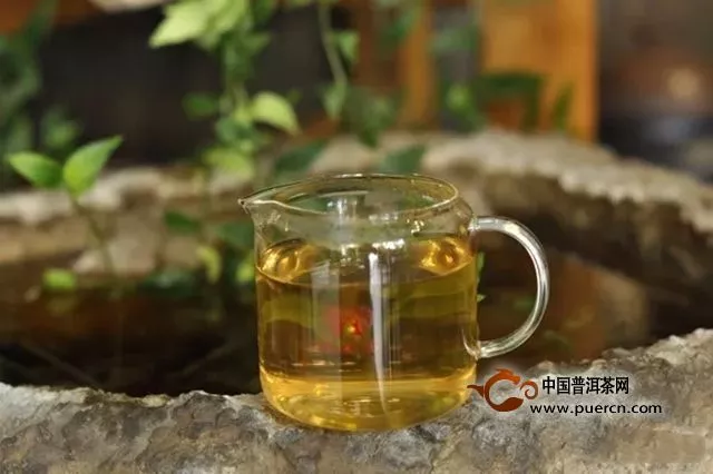 彩农茶：茶后易武