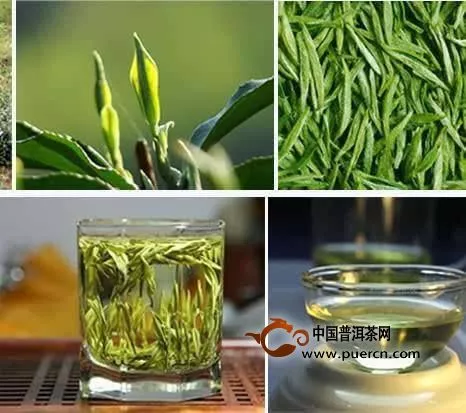 黄茶与绿茶的五大区别你知道吗