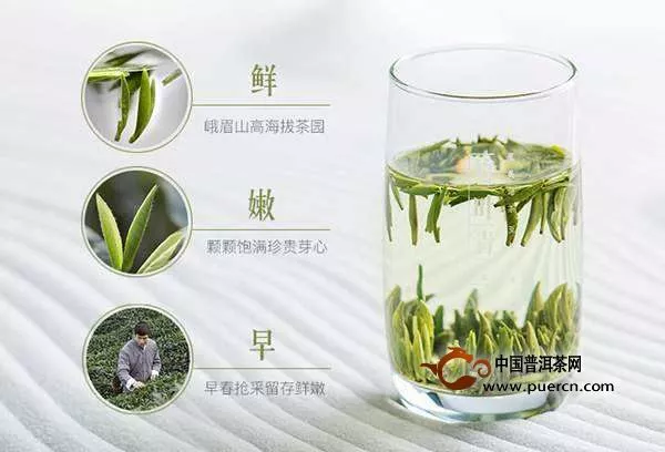竹叶青茶的冲泡方法解析