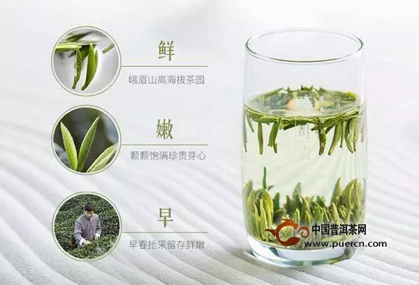 竹葉青茶的沖泡方法解析