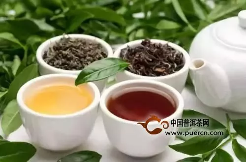 體質(zhì)不同喝什么茶多身體好?