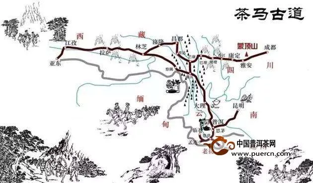 中国茶叶的历史