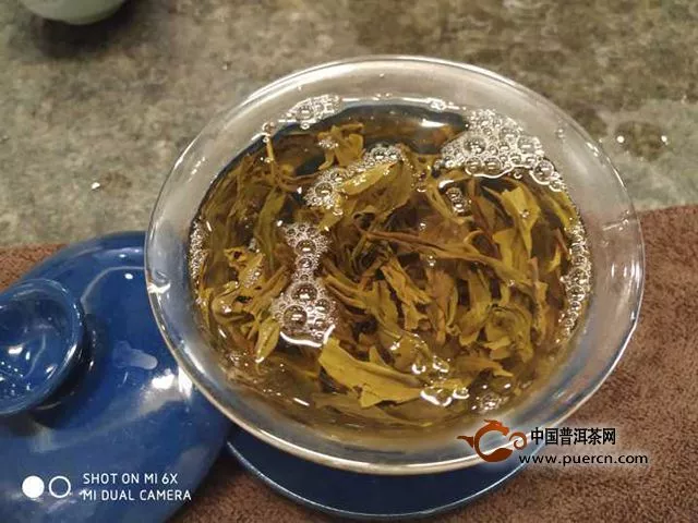 2015榮媛軒素生普試飲報(bào)告