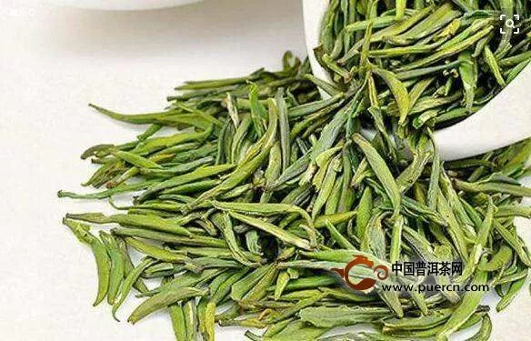 湄潭翠芽是綠茶嗎？湄潭翠芽是綠茶