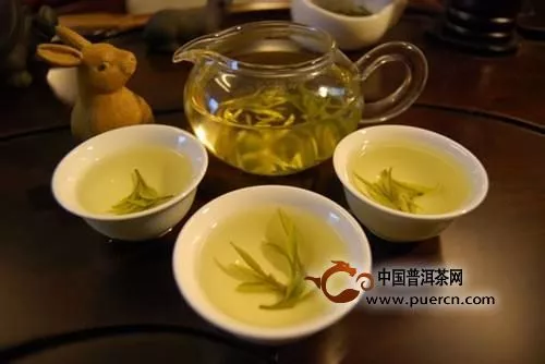 千兩茶的飲茶禁忌有哪些？