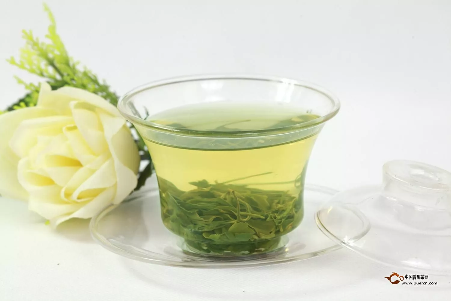 洗茶会对绿茶造成什么样的影响呢?