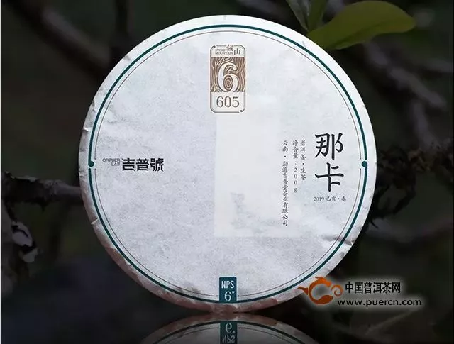 2019吉普号春茶预售第三轮｜拨开预测迷雾，名山古树茶价你有谱吗？