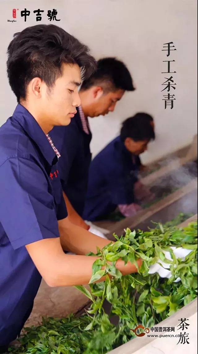 中吉號茶旅｜春茶初發(fā)鮮嫩帶水珠的古樹茶芽喊你上山啦～