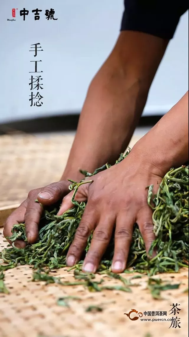 中吉號茶旅｜春茶初發(fā)鮮嫩帶水珠的古樹茶芽喊你上山啦～