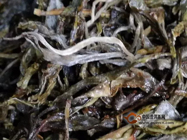 云元谷每日熟茶丨“大发酵”之【离地渥堆发酵技术】续