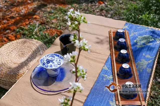 以茶结缘，共享芬芳｜一场绽放在梨花园里的公益茶会