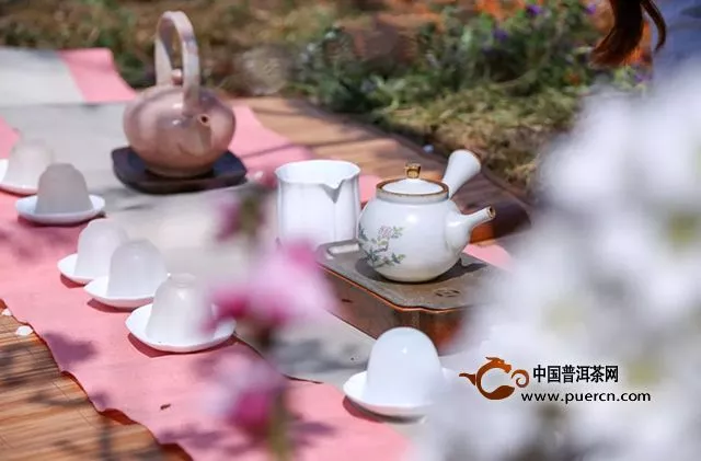 以茶结缘，共享芬芳｜一场绽放在梨花园里的公益茶会