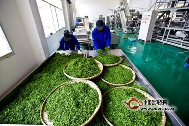 惠明茶的制作工艺流程