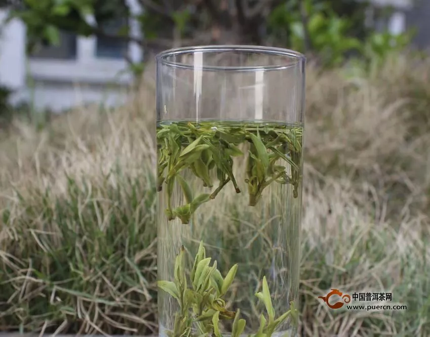 金獎惠明茶屬于什么茶,惠明茶的來歷介紹